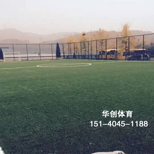 球场人造草坪